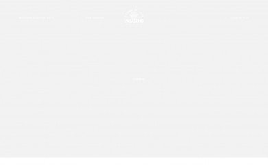 crownofthevagabond.com screenshot