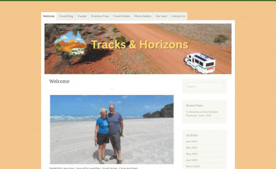 cruisinchronicles.com screenshot