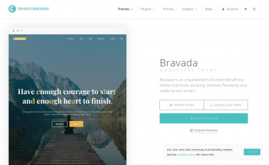 http://www.cryoutcreations.eu/wordpress-themes/bravada screenshot