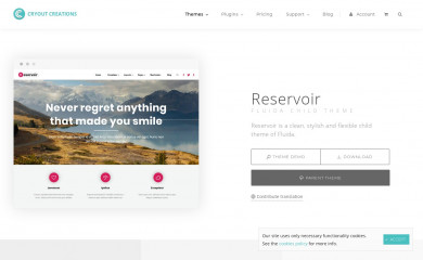 http://www.cryoutcreations.eu/wordpress-themes/reservoir screenshot