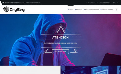 cryseg.com screenshot