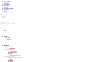 csi-reseau.com screenshot