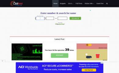 csshint.com screenshot
