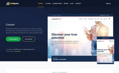 https://www.cssigniter.com/themes/convert/ screenshot