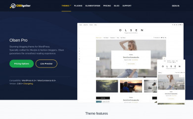 https://www.cssigniter.com/themes/olsen/ screenshot