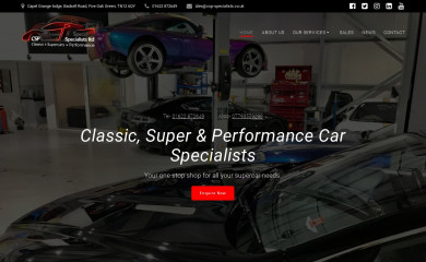 csp-specialists.co.uk screenshot