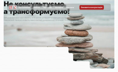 dtconsult.org screenshot
