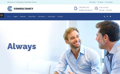 Consultancy screenshot