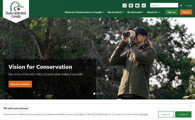 http://www.ducks.ca screenshot