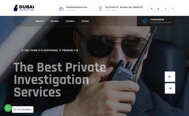 dubaidetective.ae screenshot