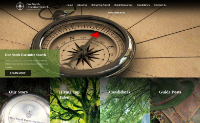 duenorthsearch.com screenshot