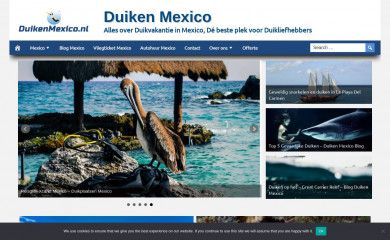 duikenmexico.nl screenshot