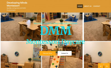 dvpmm.com screenshot