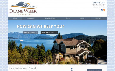 dweberins.com screenshot