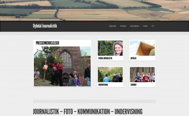 dybdaljournalistik.dk screenshot