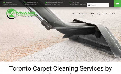 dynamikcarpetcleaning.com screenshot