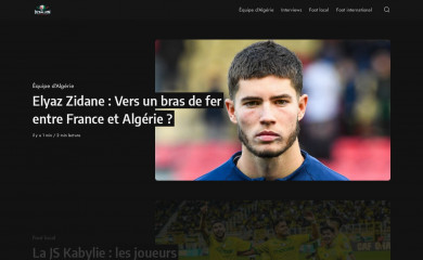 dzballon.com screenshot