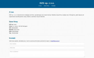dzg.com.pl screenshot