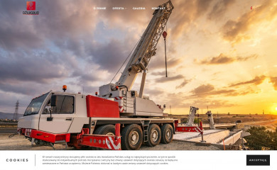 dzwigbud.com screenshot