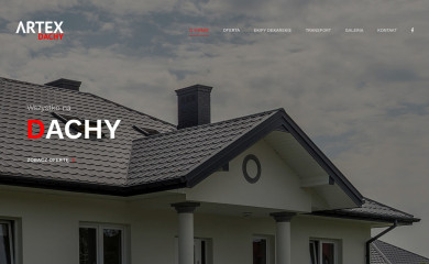 dachyartex.pl screenshot