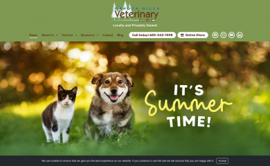 dakotahillsveterinary.com screenshot