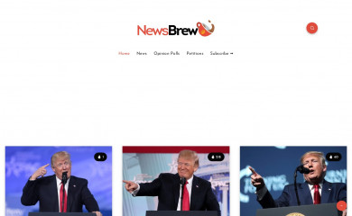 dailynewsbrew.org screenshot