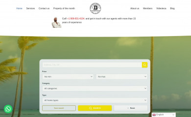 damanirealty.net screenshot