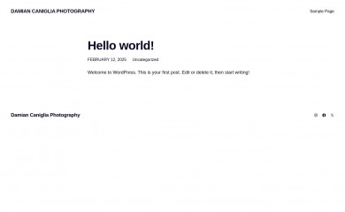 damiancaniglia.com.au screenshot