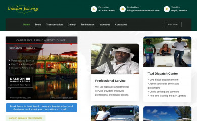 damionjamaicatours.com screenshot