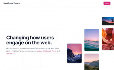 dancameron.org screenshot