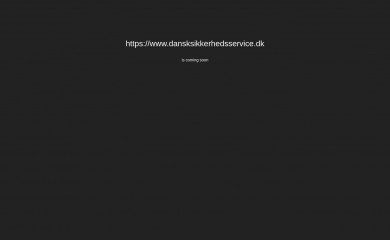 dansksikkerhedsservice.dk screenshot