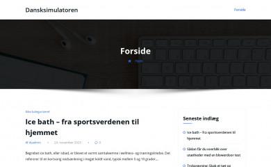 dansksimulatoren.dk screenshot