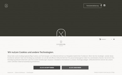 dashaarwerkistonline.de screenshot