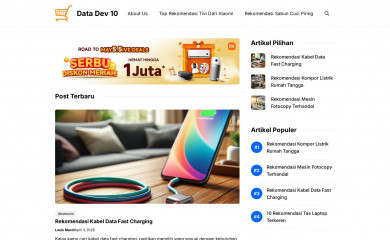 datadev10.com screenshot