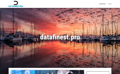 datafinest.pro screenshot