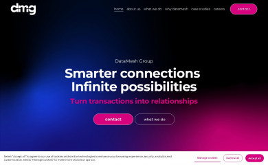 datameshgroup.com screenshot