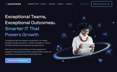 dataprise.com screenshot