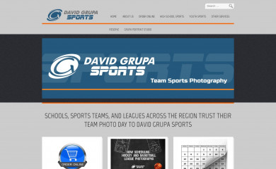 davidgrupasports.com screenshot