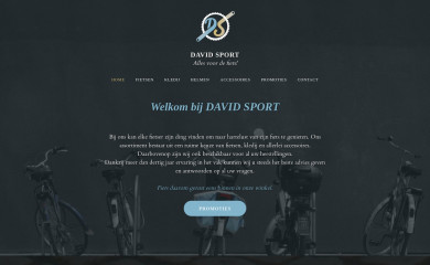 davidsport.be screenshot