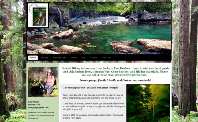 daytripdrea.com screenshot