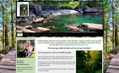 daytripdrea.com screenshot