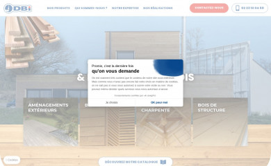 dbi-bois.fr screenshot