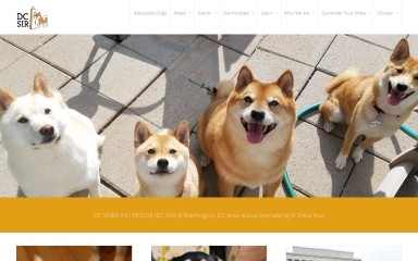 dcsir.org screenshot