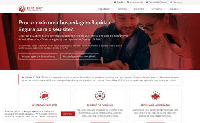 ddrhost.com.br screenshot