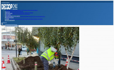 decoopchile.cl screenshot