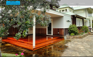 dead-level.com.au screenshot