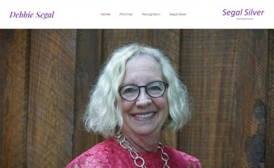 debbiesegal.com screenshot