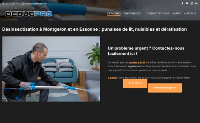 debugpro.fr screenshot