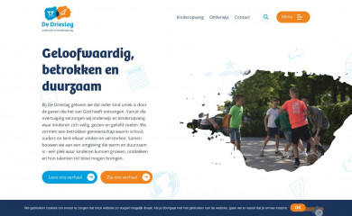 dedrieslag.nl screenshot