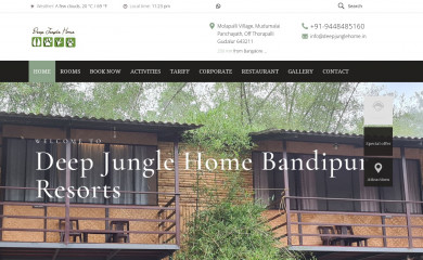 deepjunglehome.in screenshot